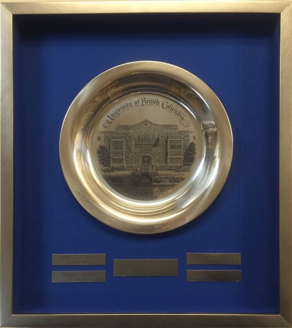 University diploma in a professional frame